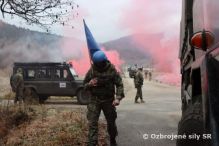 Vcvik vojenskch pozorovateov do misi UNTSO a EUMM